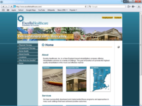 Example of Health Care Pharma and Professionals Health Care and Insurance web design ma nh