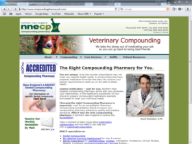 Example of Health Care Pharma and Professionals Health Care and Insurance Search Engine Services