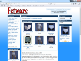 Example of Retail Clothing and Accessories search engine marketing
