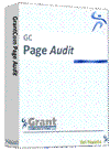 Page Audit 